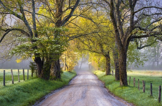Cades Cove Great Smoky Mountains National Park Scenic Landscape